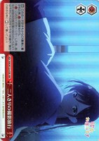 【ヴァイス】ＲＲＲ◇二人きりの撮影旅行