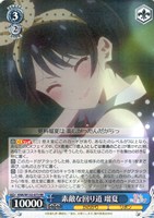 【ヴァイス】ＲＲ◇素敵な回り道 瑠夏