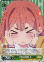 英語版 WS ヴァイスシュヴァルツ 大人なんです 瑠夏 SSP サイン