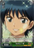 【ヴァイス】C)ノーマル仕様◇“洗浄完了”翼