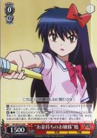 【ヴァイス】ＲＲ）ノーマル仕様◇“お金持ちのお嬢様”鳳