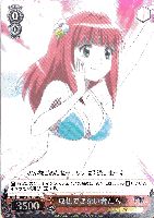 【ヴァイス】Ｃ）ホロ仕様◇成仏できない者たち