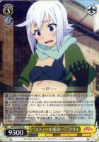 雪精討伐の意味とは？”アクア【ヴァイスシュヴァルツトレカ高価