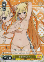 【ヴァイス】Ｕ◇水着のダクネス