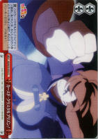 【ヴァイス】ＣＣ◇カースド・クリスタルプリズン！