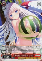 【ヴァイス】N◇海を見つめる少女 しろは