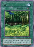 【遊戯王】レア◇森
