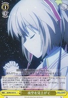 【ヴァイス】U◇夜空を見上げて
