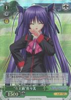 “女王猫”佐々美