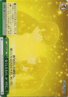 【ヴァイス】C)ノーマル仕様◇なくしたもの、みつけに。