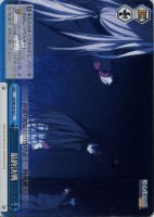 【ヴァイス】C)ノーマル仕様◇最終決戦