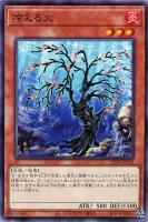 【遊戯王】ノーマルレア◇冷える火
