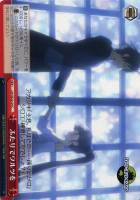 【ヴァイス】C)ノーマル仕様◇ふたりでワルツを