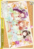 【ヴァイス】ＣＲ◇アオクハルカ