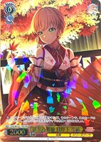 カードを買う/ヴァイスシュヴァルツ/2025年度作品/ラブライブ