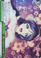 【ヴァイス】ＣＲ）ホロ仕様◇僕たちはひとつの光[緑ｂ]