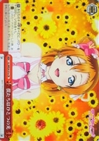 【ヴァイス】ＣＲ）ノーマル仕様◇僕たちはひとつの光[赤ａ]