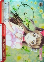 【ヴァイス】ＳＰ）サイン付◇僕たちはひとつの光[赤ｂ]