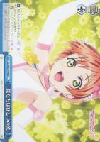 【ヴァイス】ＣＲ）ノーマル仕様◇僕たちはひとつの光[青ａ]