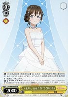 【ヴァイス】ＰＲ◇トキメキ。あなたがいてくれたから[品番b]