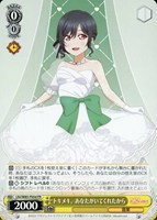 【ヴァイス】ＰＲ◇トキメキ。あなたがいてくれたから[品番d]