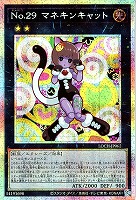No.29 マネキンキャット