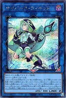 サイバース・ウィキッド