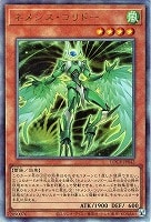 ネメシス・コリドー