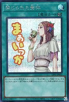 禁じられた聖杯