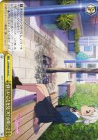 【ヴァイス】ＣＣ◇新しいことを見つける楽しさ