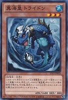 【遊戯王】ノーマル◇真海皇 トライドン