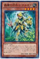 【遊戯王】ノーマル)モンスター◇森羅の花卉士 ナルサス