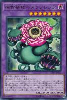 【遊戯王】レア◇捕食植物キメラフレシア
