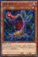 【遊戯王】ノーマル)モンスター◇捕食植物コーディセップス