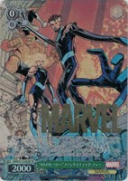カードを買う/ヴァイスシュヴァルツ/2024年度作品/MARVEL Vol.2