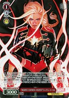 カードを買う/ヴァイスシュヴァルツ/2024年度作品/MARVEL Vol.2