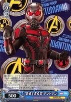 【ヴァイス】Ｃ◇“普通すぎる男”アントマン