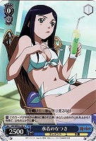 【ヴァイス】C)ホロ仕様◇水着のなつき