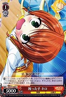 ヴァイス　psa10 ドジっ子探偵シャロ　sp Amazon.co.jp: ヴァイスシュヴァルツ SP/サイン ドジっ子探偵