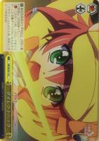 【ヴァイス】C)ホロ仕様◇ダイレクトハック