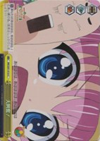 大興奮！[キラ仕様]