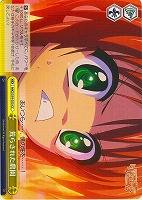 【ヴァイス】CC◇荒らされた農園