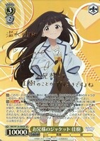 ヴァイス　マケイン　杏菜　SR RRR 17種セット ナイスバディ 杏菜【ヴァイスシュヴァルツトレカお買得価格通販