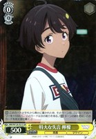 ヴァイス　マケイン　杏菜　SR RRR 17種セット ヴァイス/負けヒロインが多すぎる/マケイン/RRR 驚異的な金額