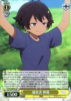 ヴァイス　マケイン　杏菜　SR RRR 17種セット ヴァイス/負けヒロインが多すぎる/マケイン/RRR 驚異的な金額