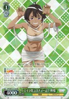 ヴァイス　マケイン　杏菜　SR RRR 17種セット ヴァイスシュヴァルツ 八奈見杏菜 SP 負けヒロイン マケイン