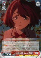 SR はい、あーん 杏菜 販売 | 負けヒロインが多すぎる