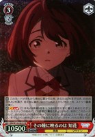 【ヴァイス】SR◇その瞳に映るのは 知花