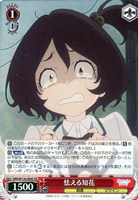 必死の訴え 杏菜【ヴァイスシュヴァルツトレカお買得価格通販