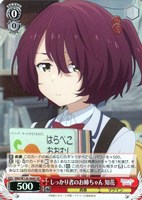 ヴァイス　マケイン　杏菜　SR RRR 17種セット 4Kヒロイン 杏菜【ヴァイスシュヴァルツトレカお買得価格通販